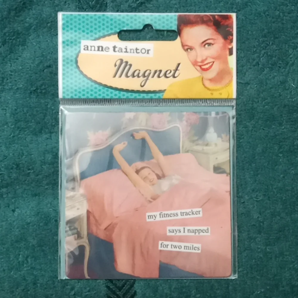 New Anne Taintor vintage style magnet